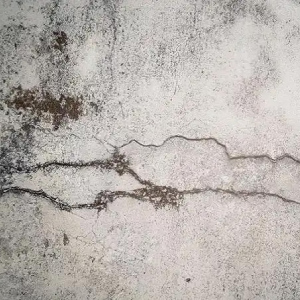 رفع نم دیوار سیمانی