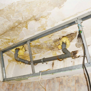 رفع نم لوله فاضلاب