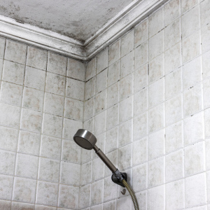 رفع نم حمام