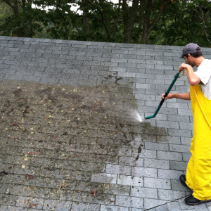 رفع نم پشت بام موزاییکی