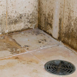 رفع نم سرویس بهداشتی