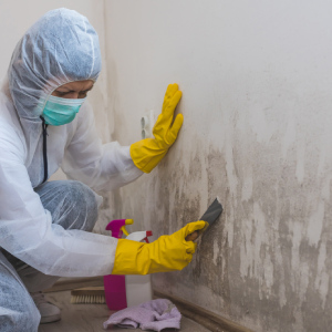 رفع نم دیوار بدون تخریب