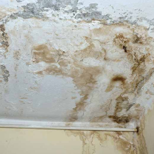 رفع نم سقف بدون خرابی