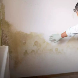 رفع نم دیوار گچی