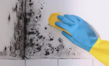 روش از بین بردن قارچ و کپک حمام و دستشویی